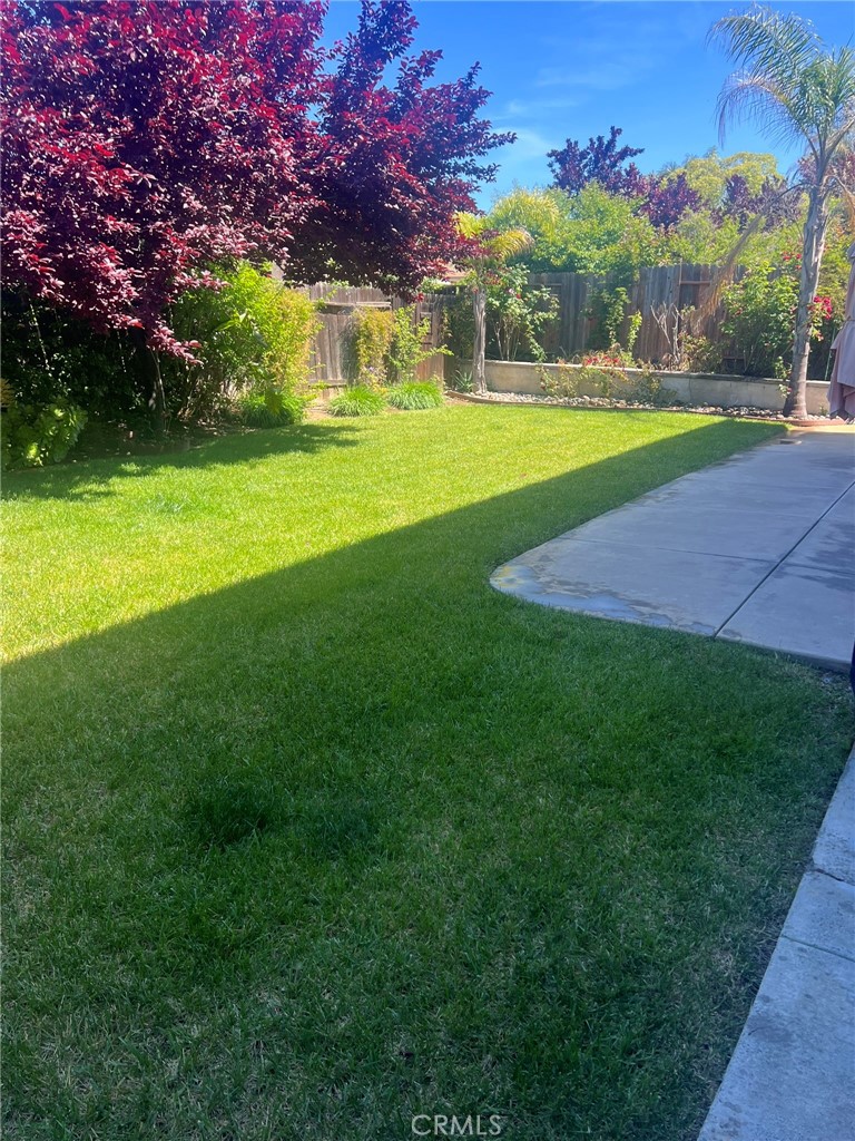 Property photo 40
