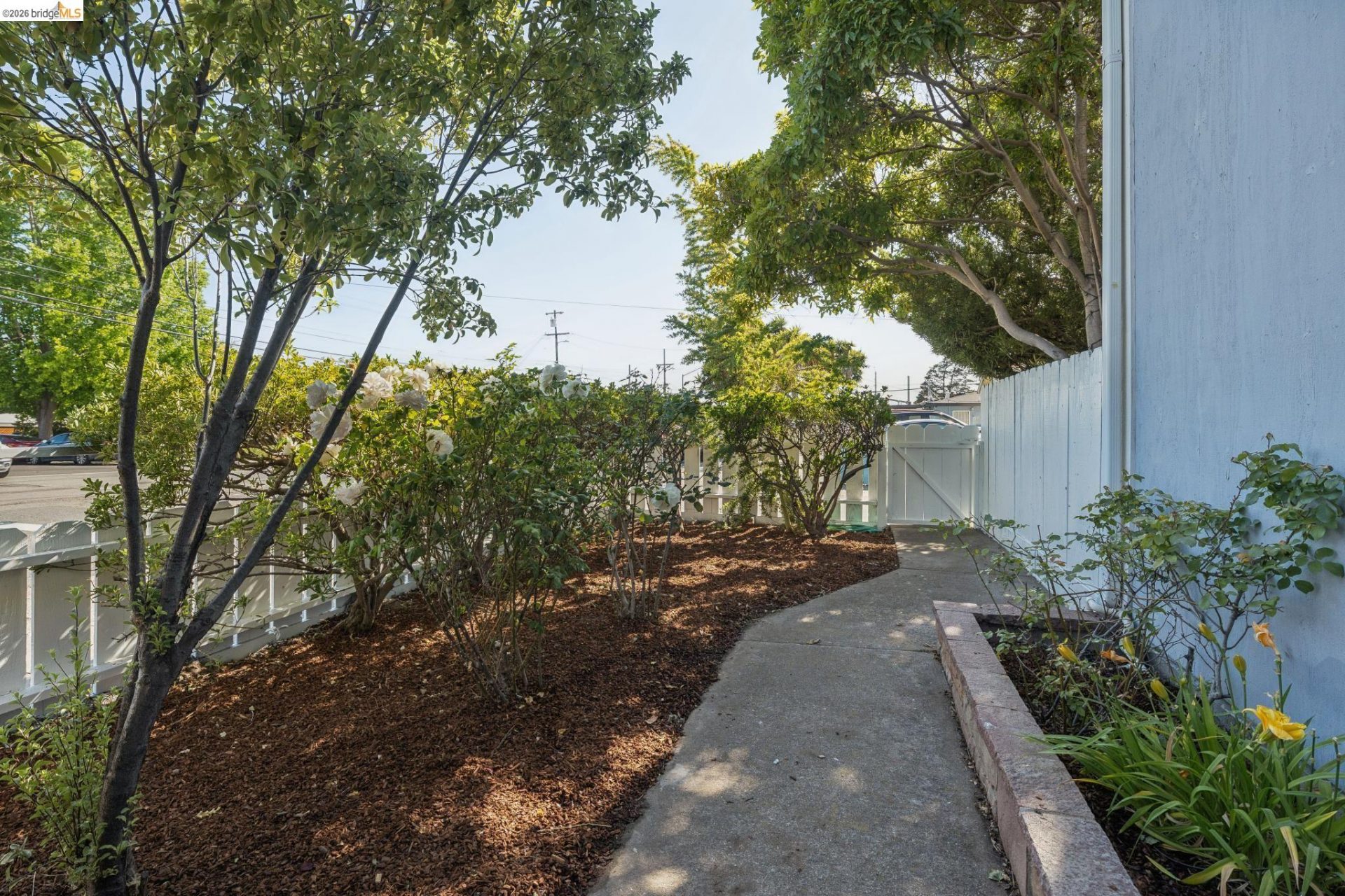 Property photo 37