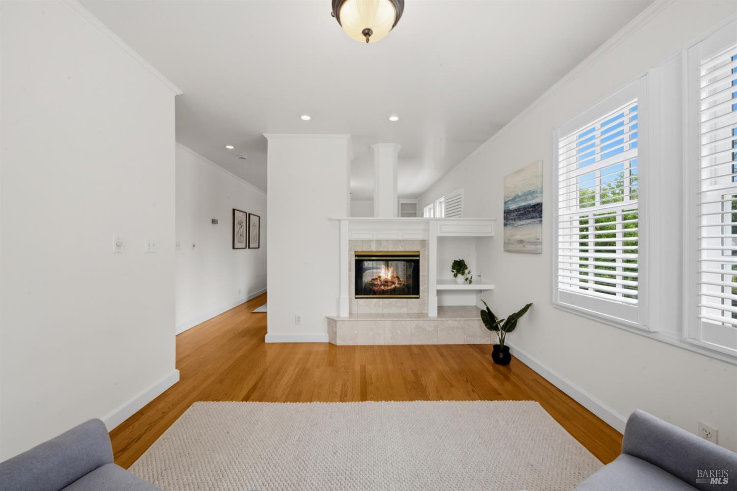 Property photo 51