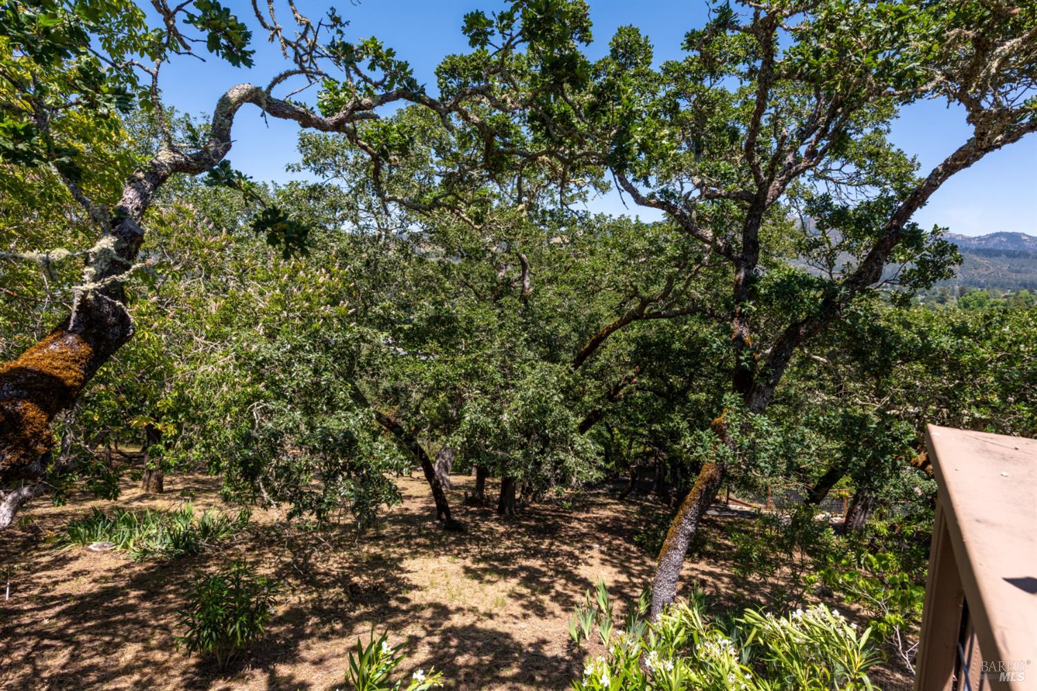 Property photo 39