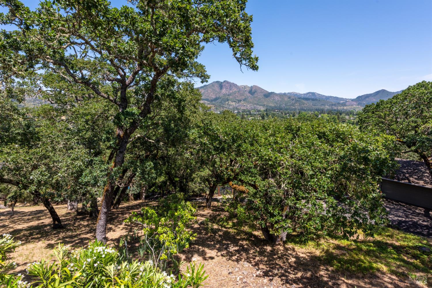 Property photo 40
