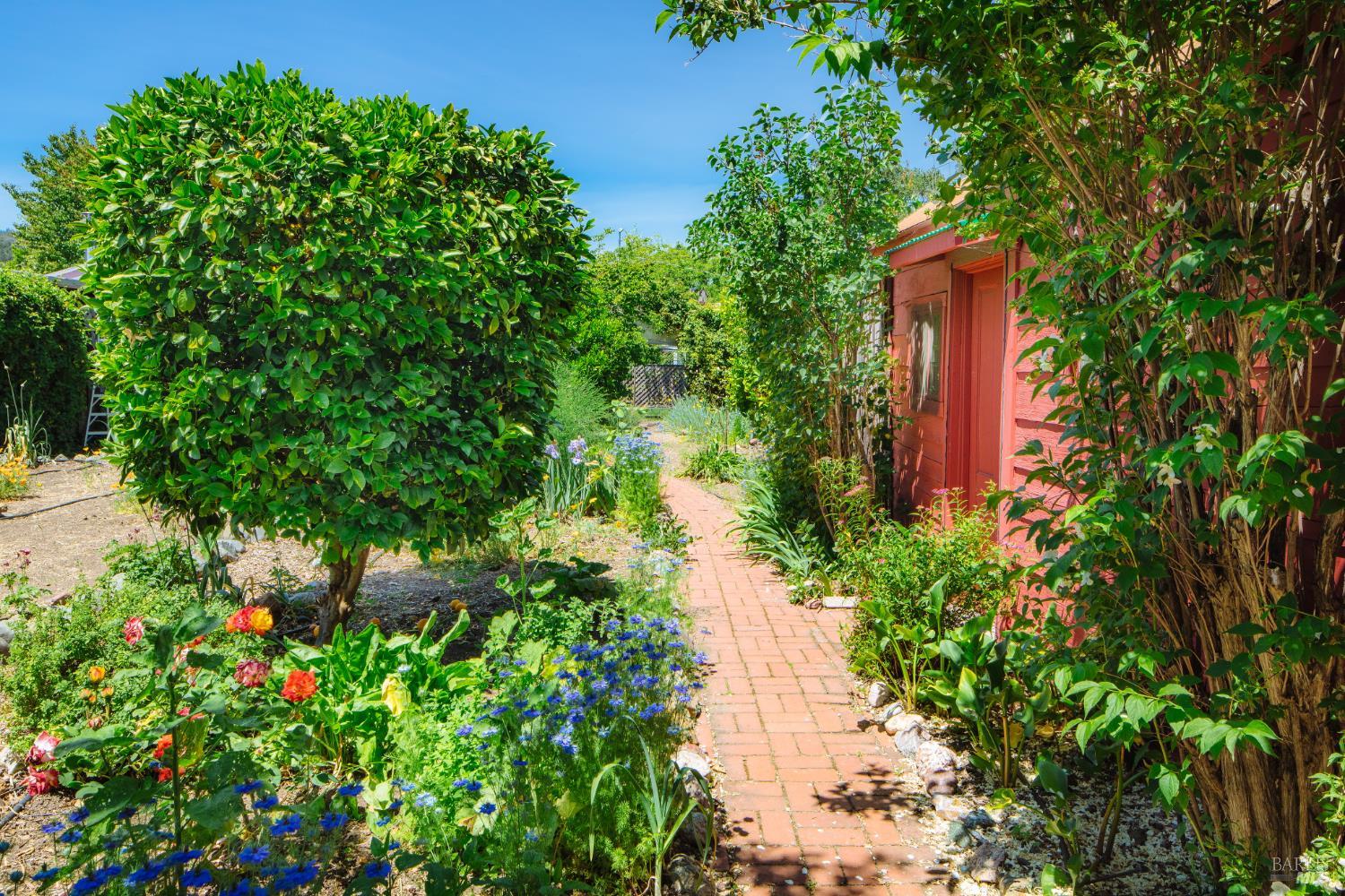 Property photo 43