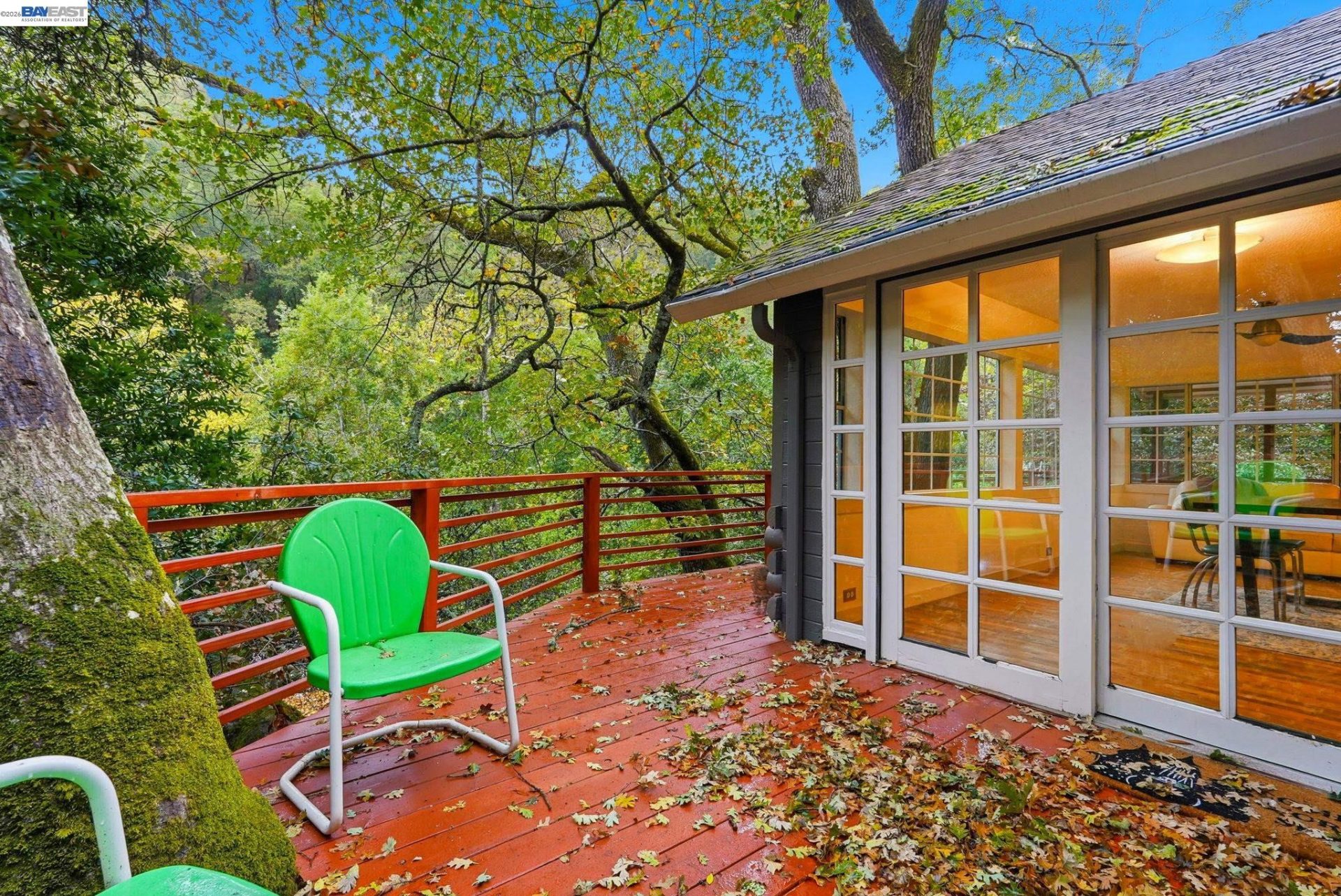 Property photo 39