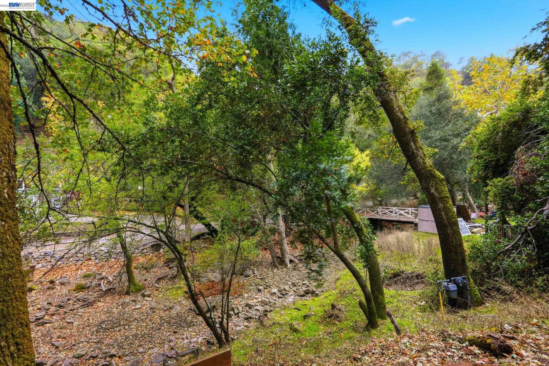 Property photo 43