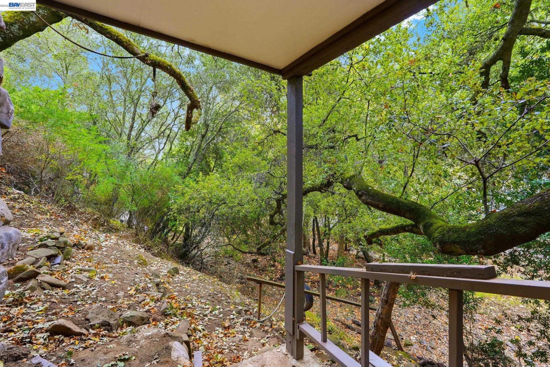 Property photo 44
