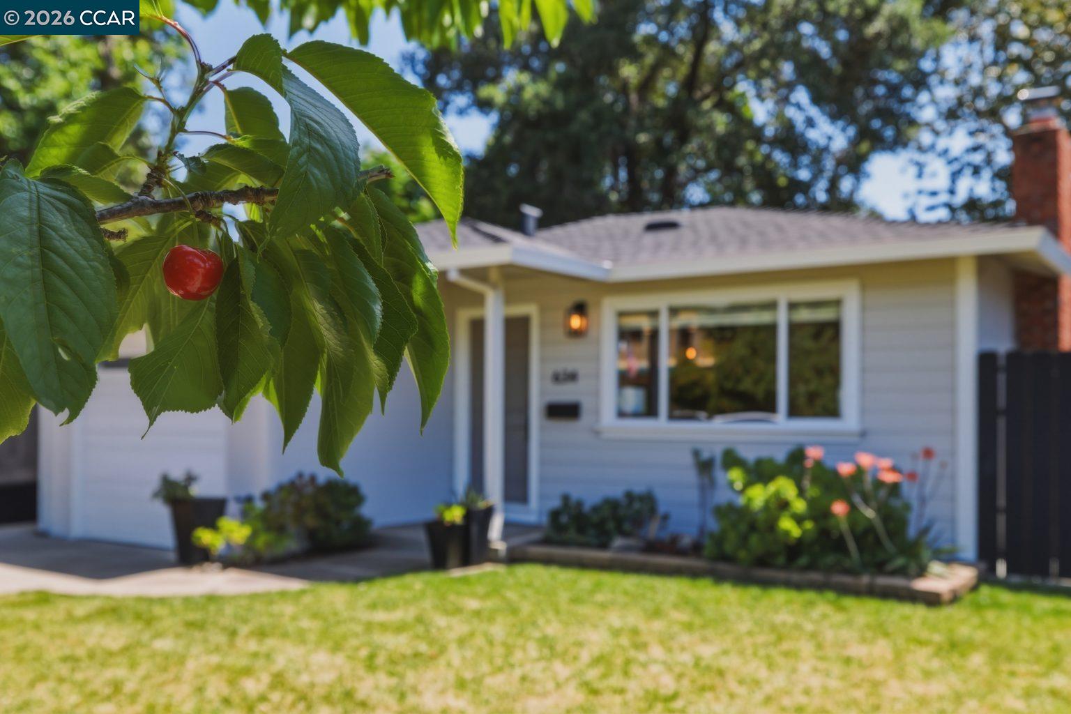 Property photo 45