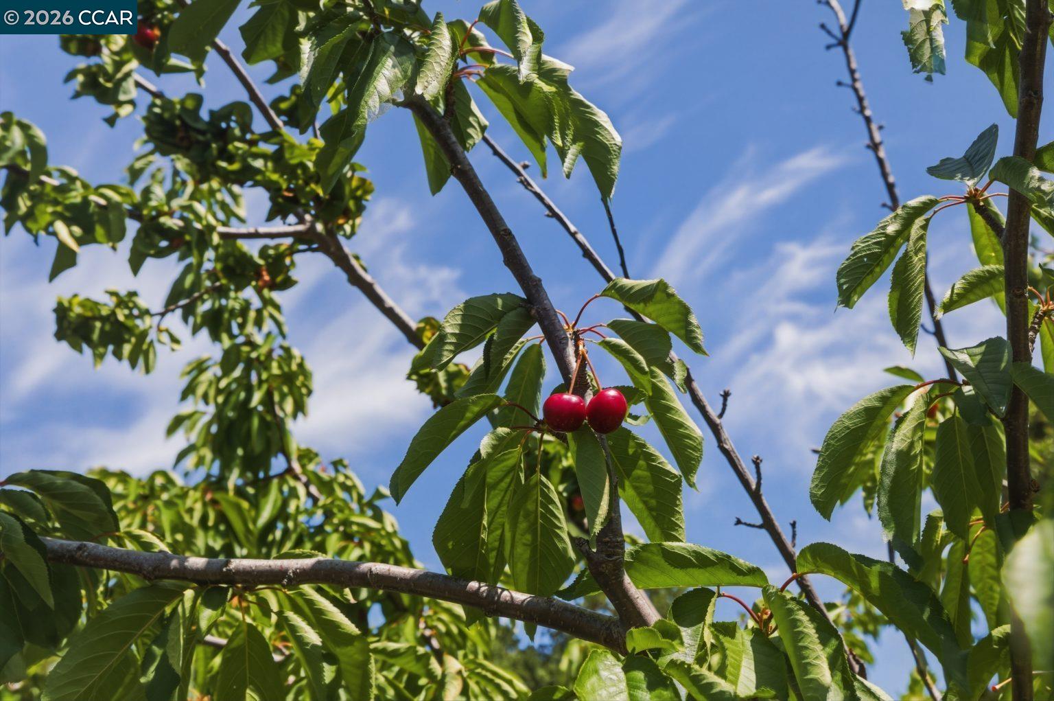 Property photo 46