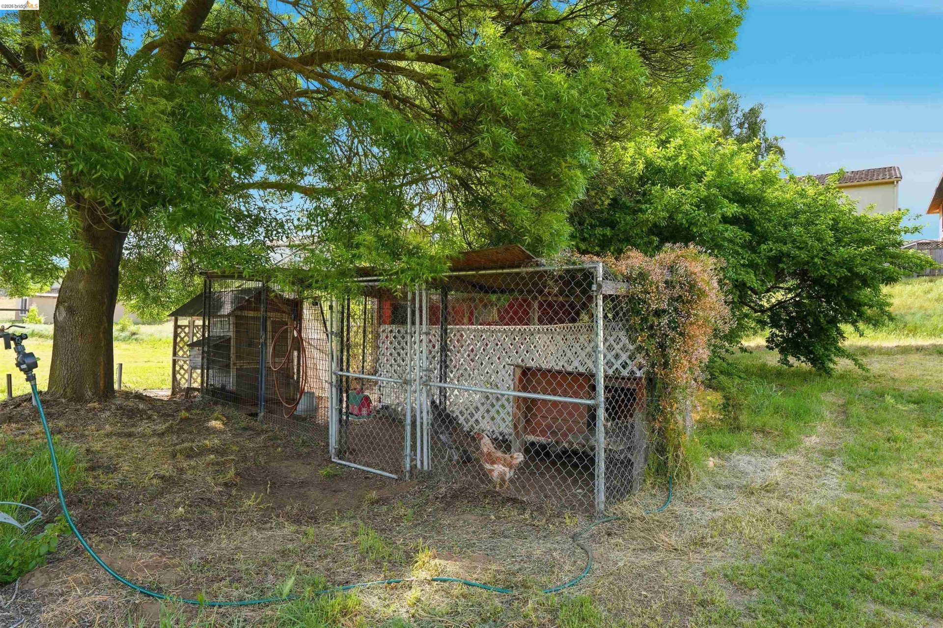 Property photo 12
