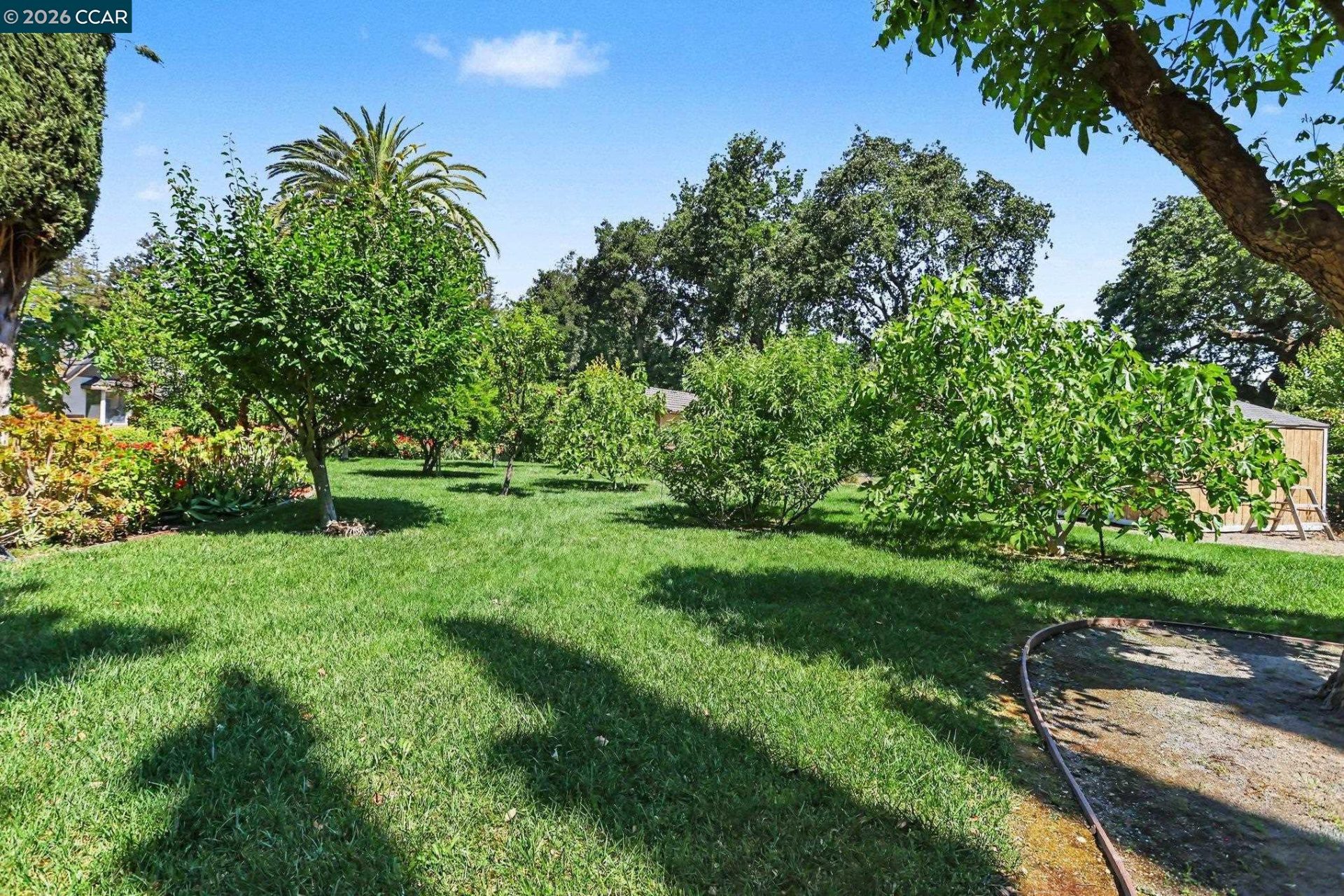 Property photo 45