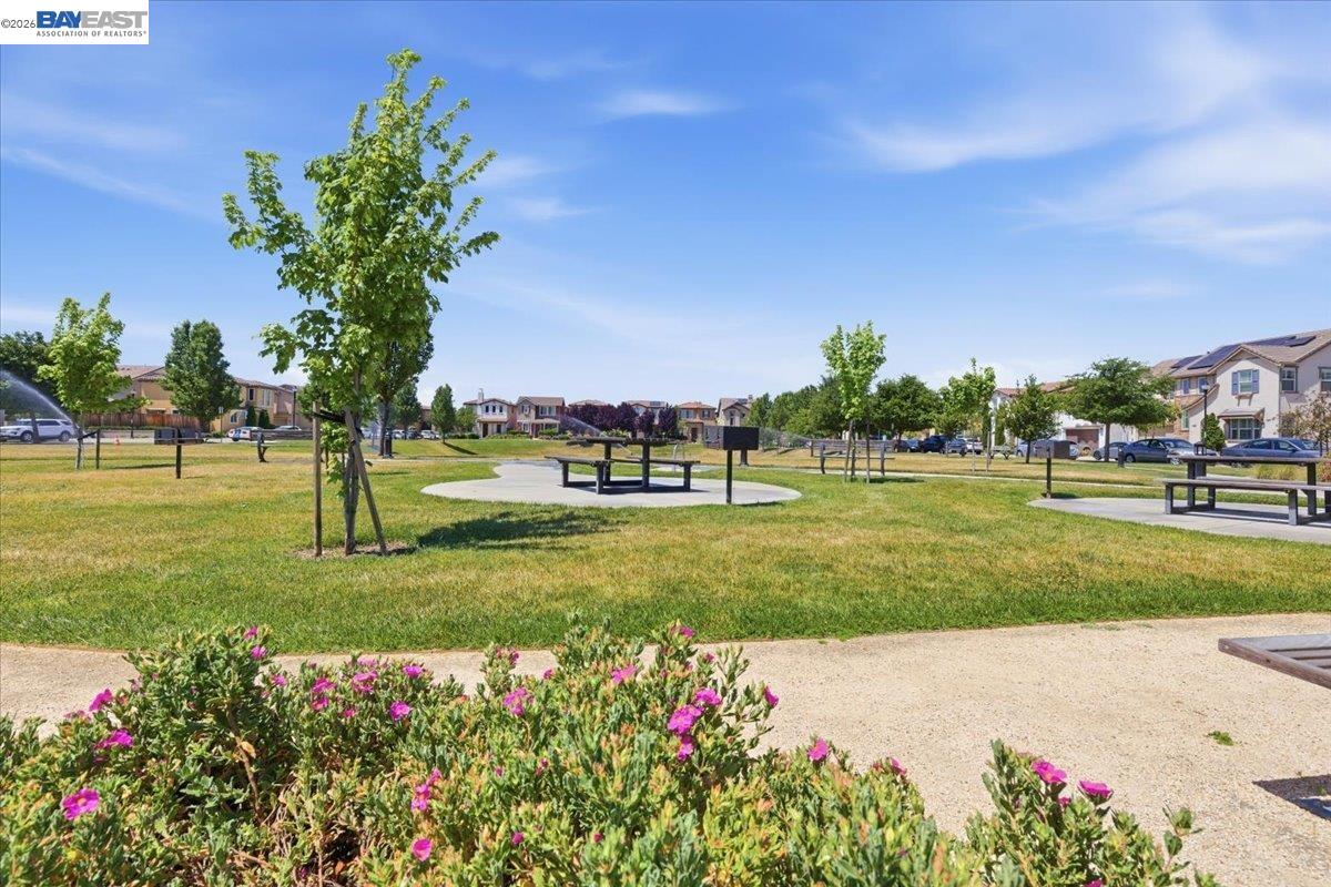 Property photo 43