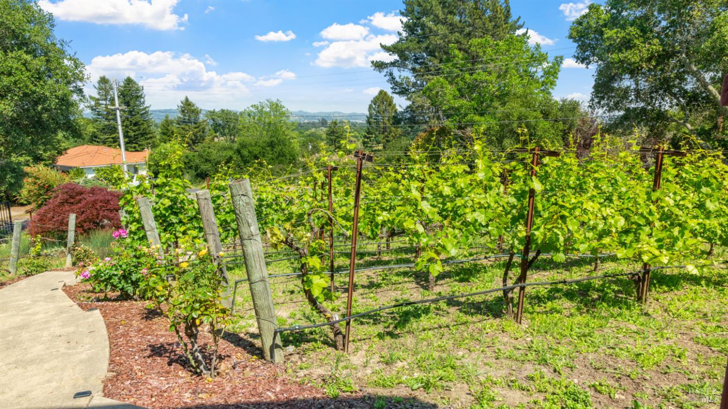 Property photo 42