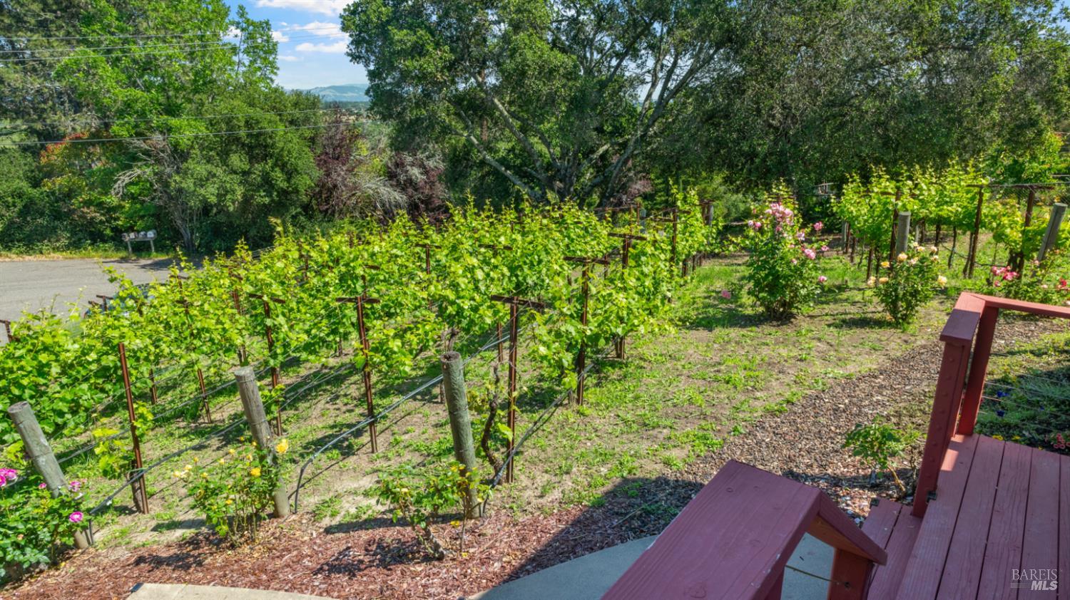 Property photo 43