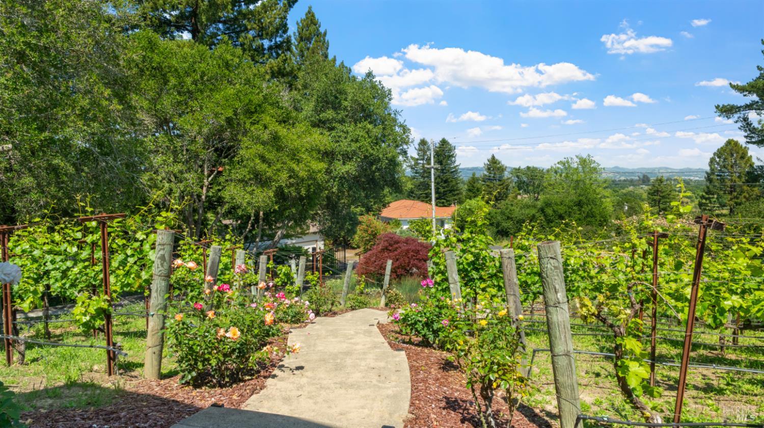 Property photo 44