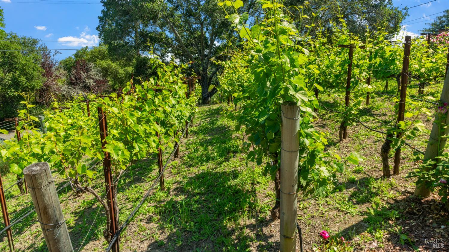Property photo 45