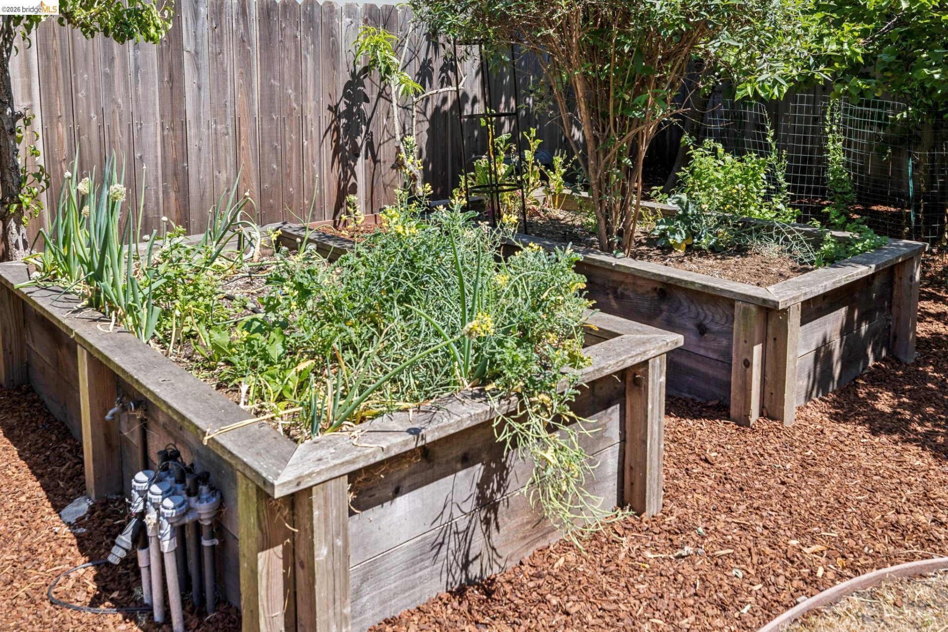 Property photo 44