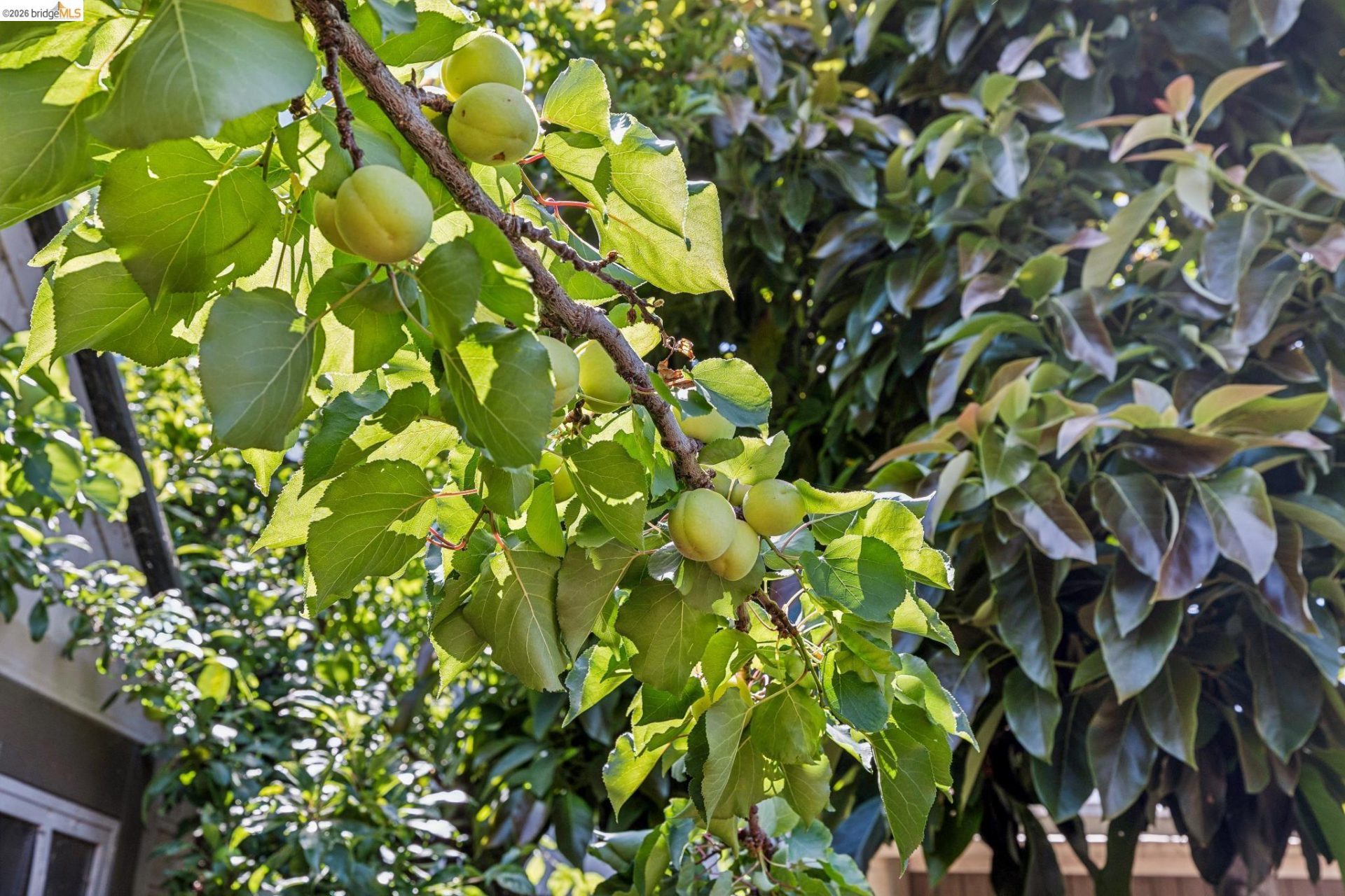 Property photo 48