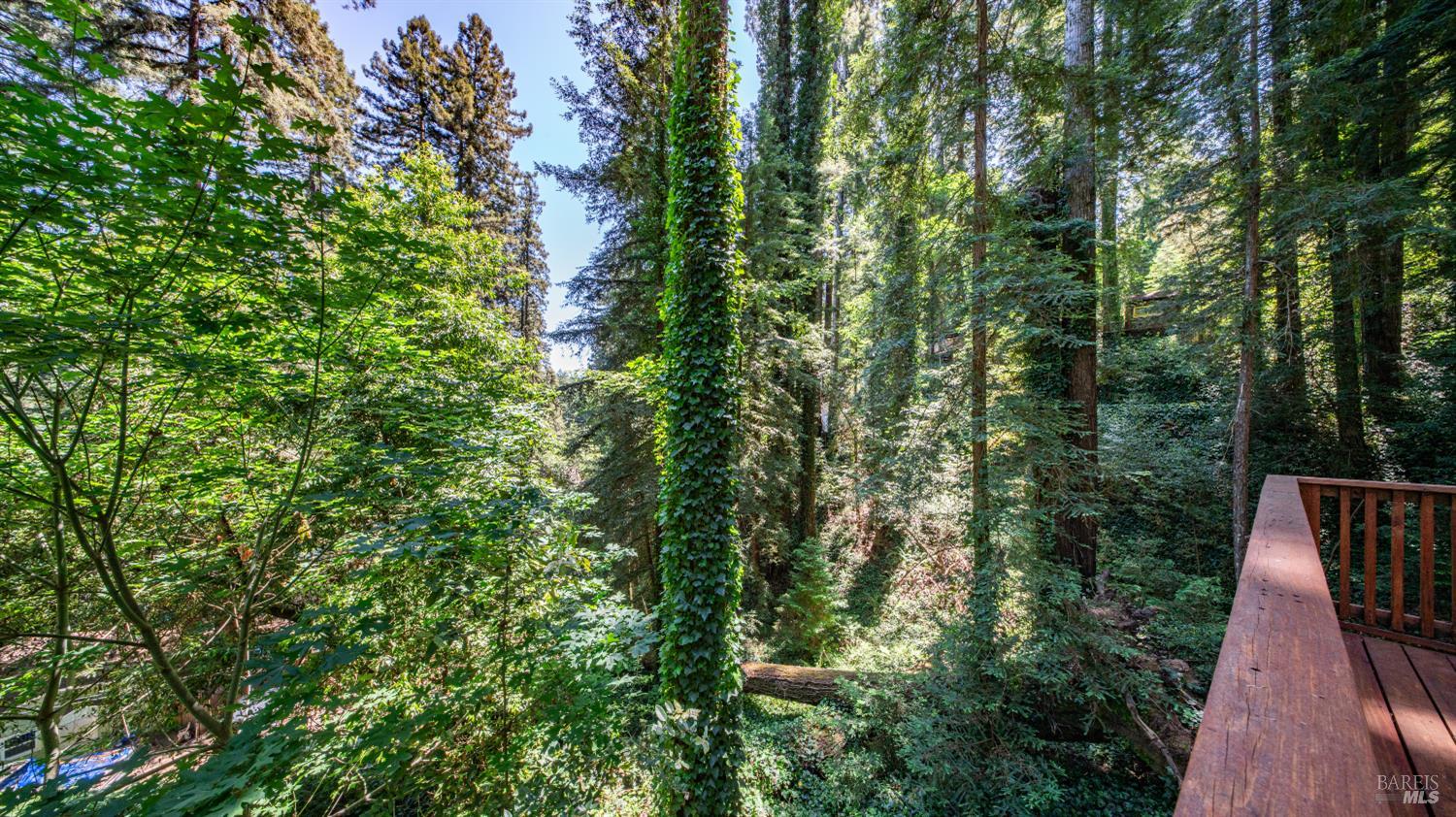 Property photo 27