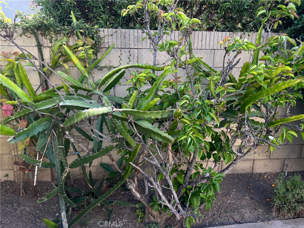 Property photo 47