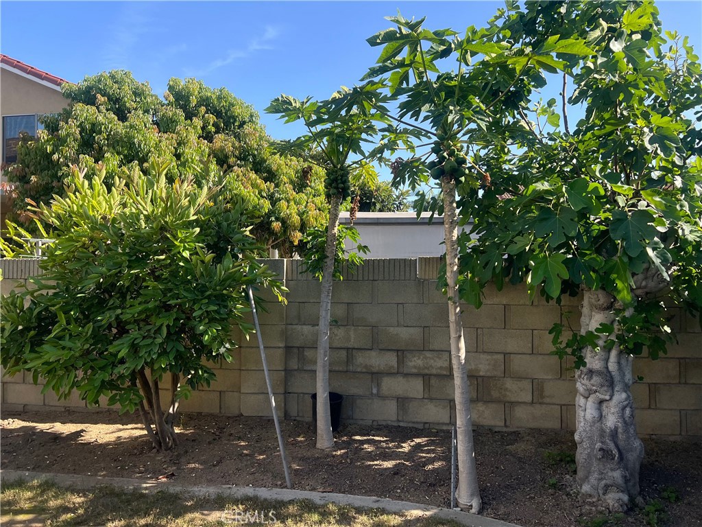 Property photo 51