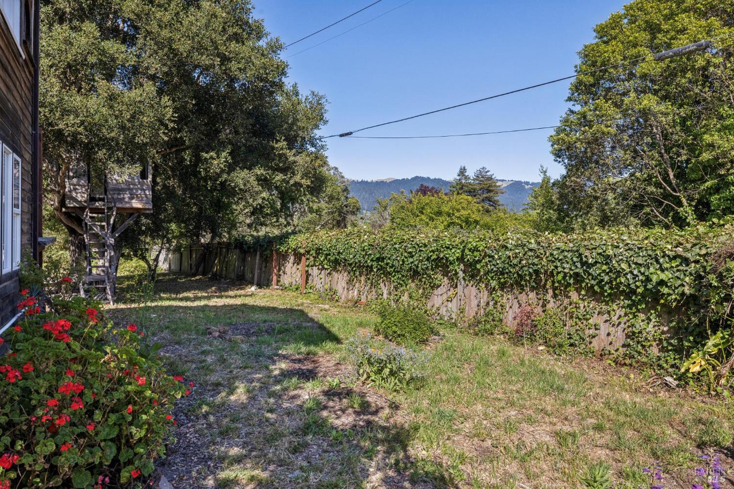 Property photo 47
