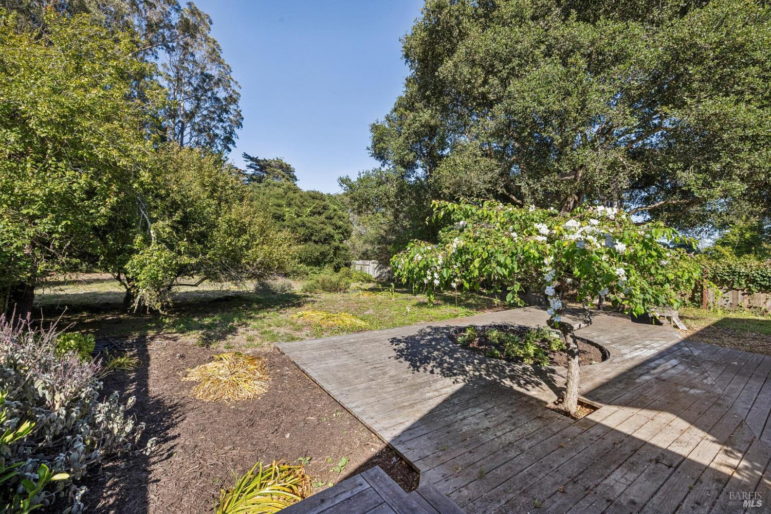Property photo 48