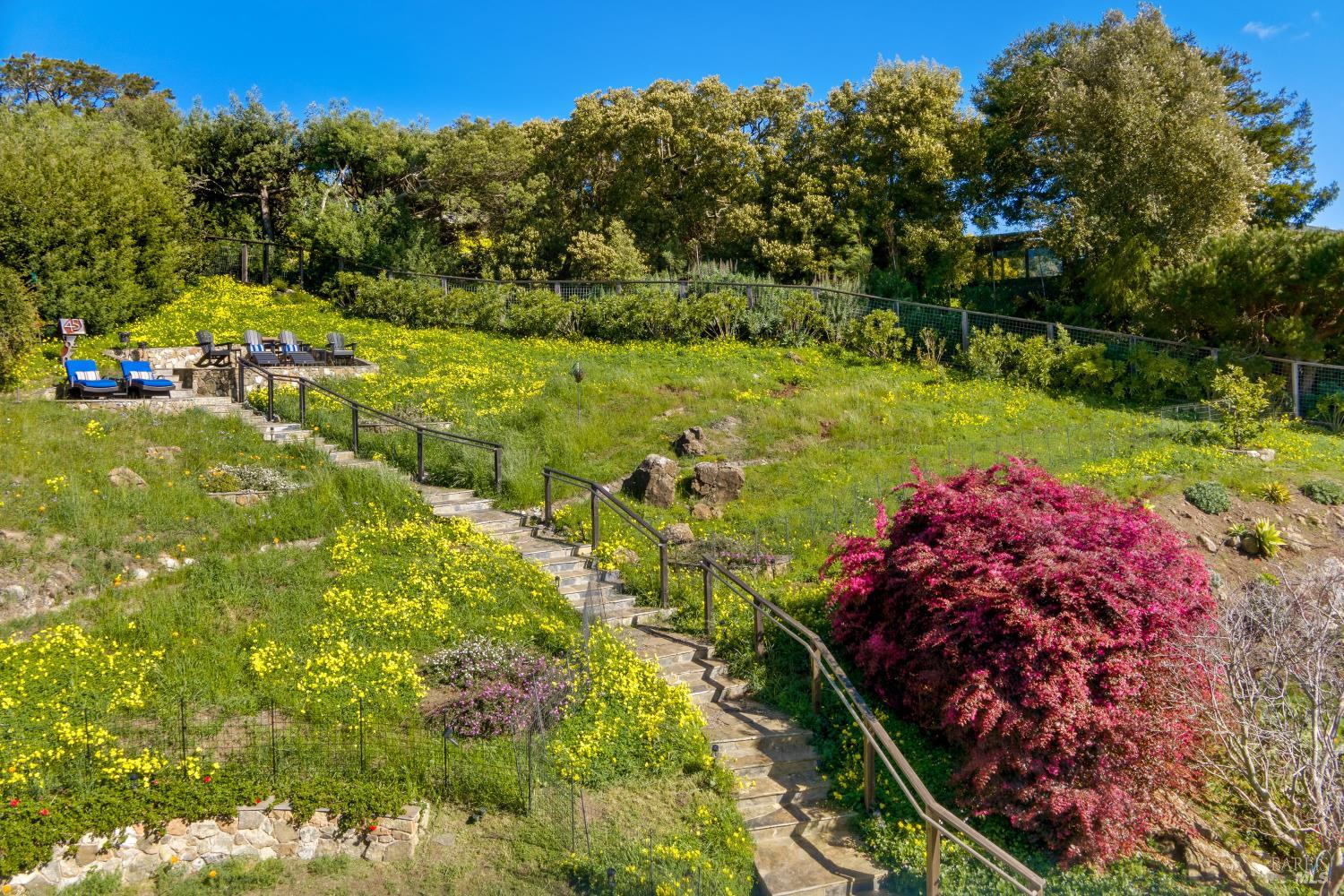 Property photo 46