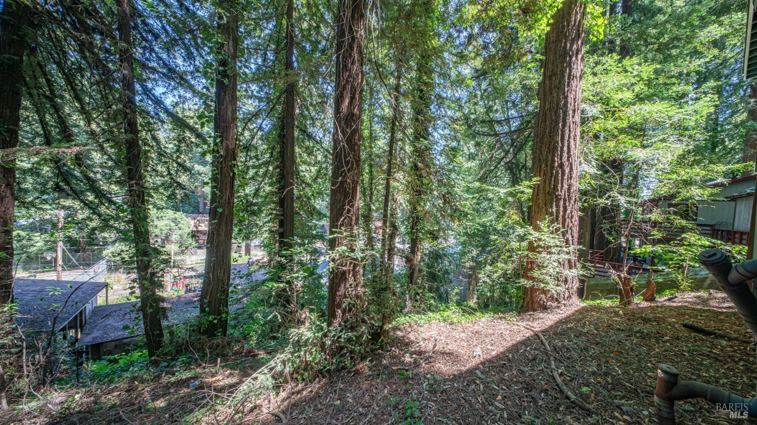 Property photo 35