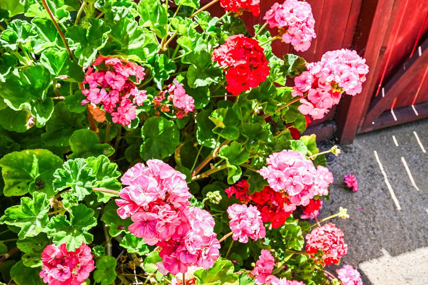 Property photo 41