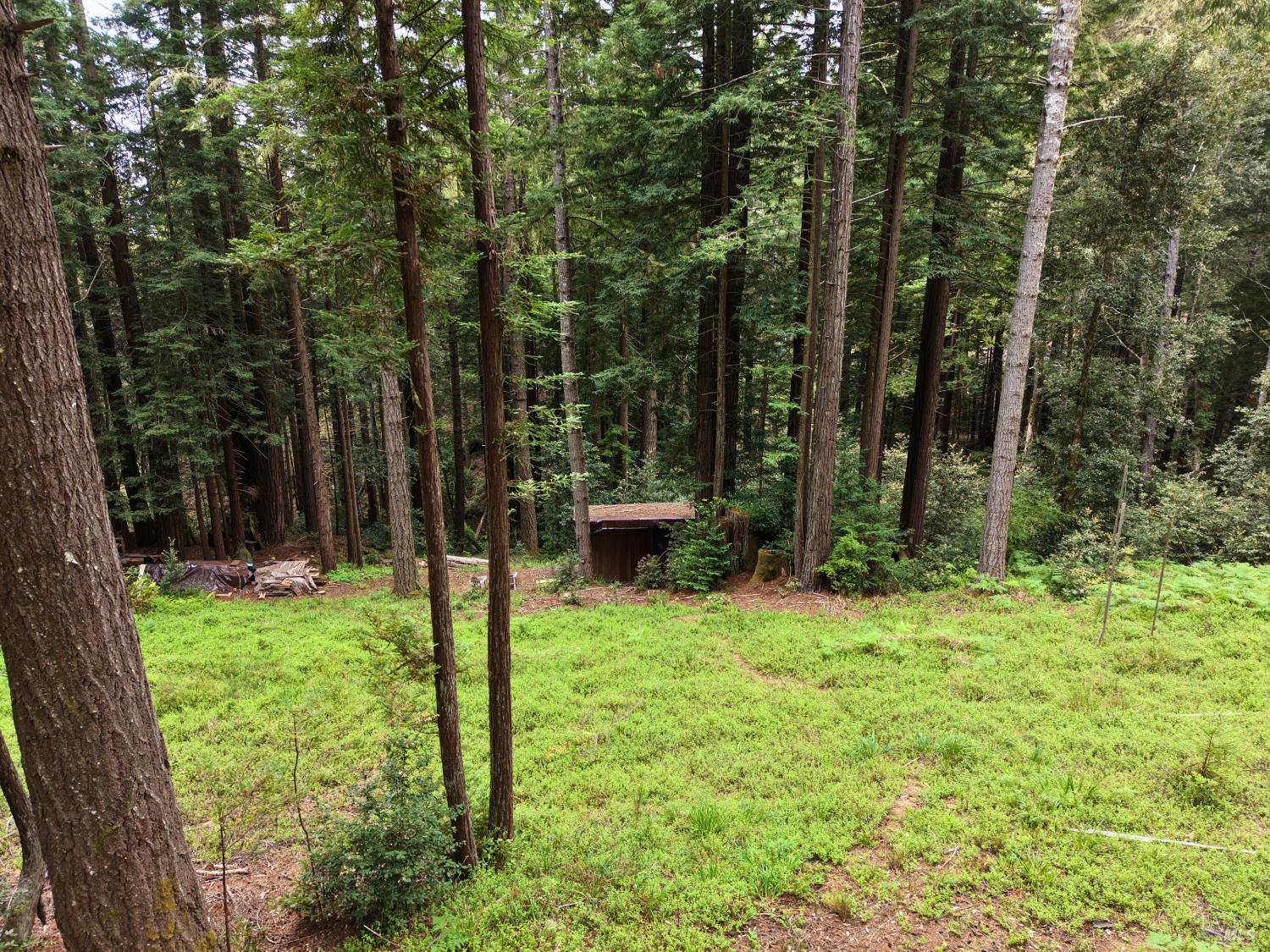 Property photo 13