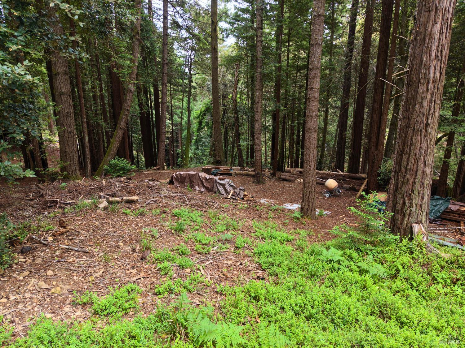 Property photo 20
