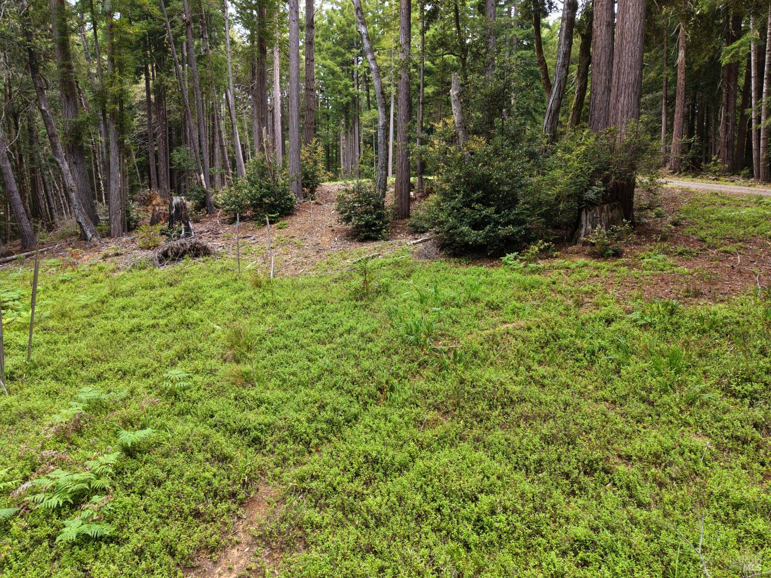 Property photo 27