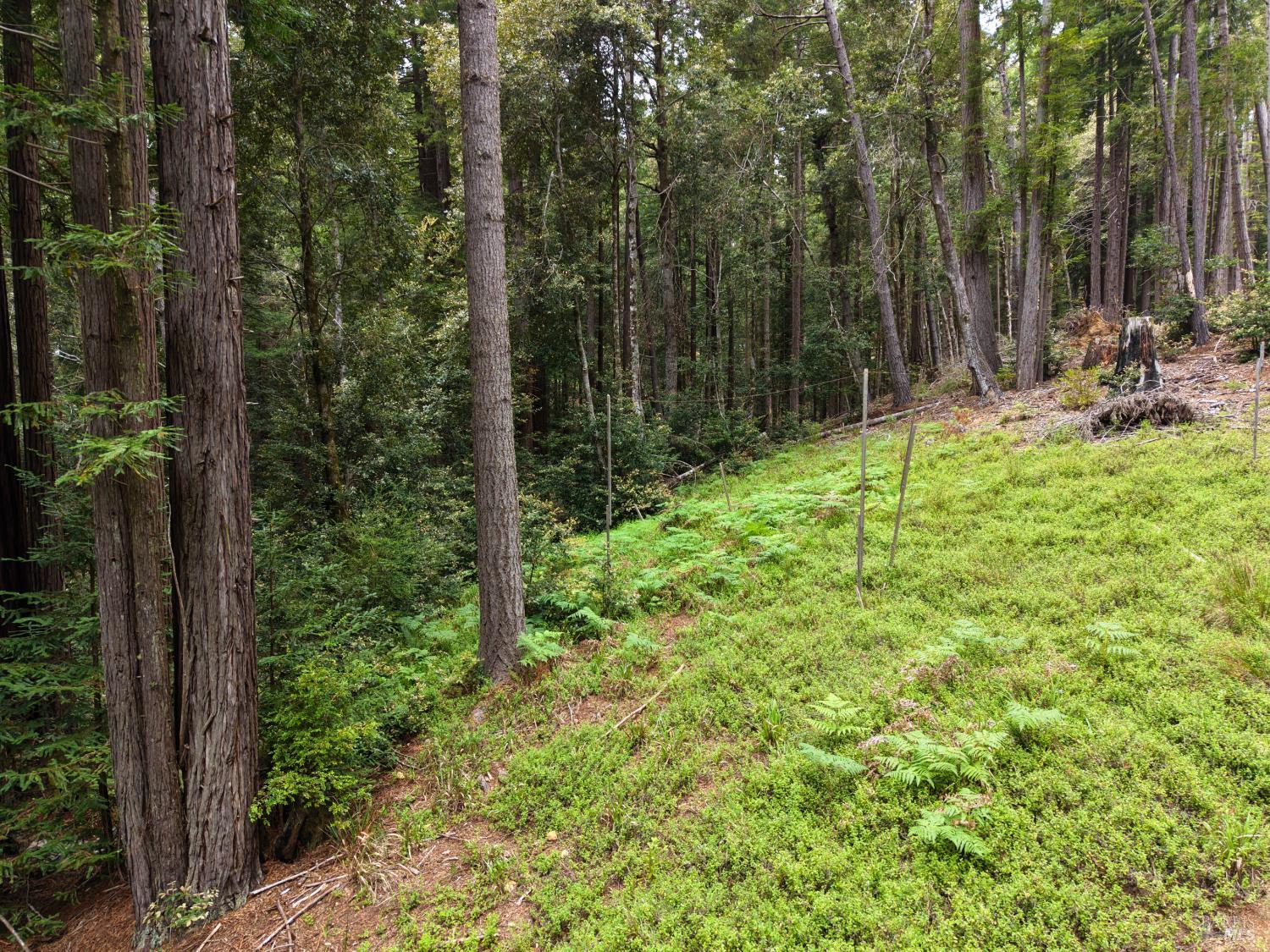 Property photo 28