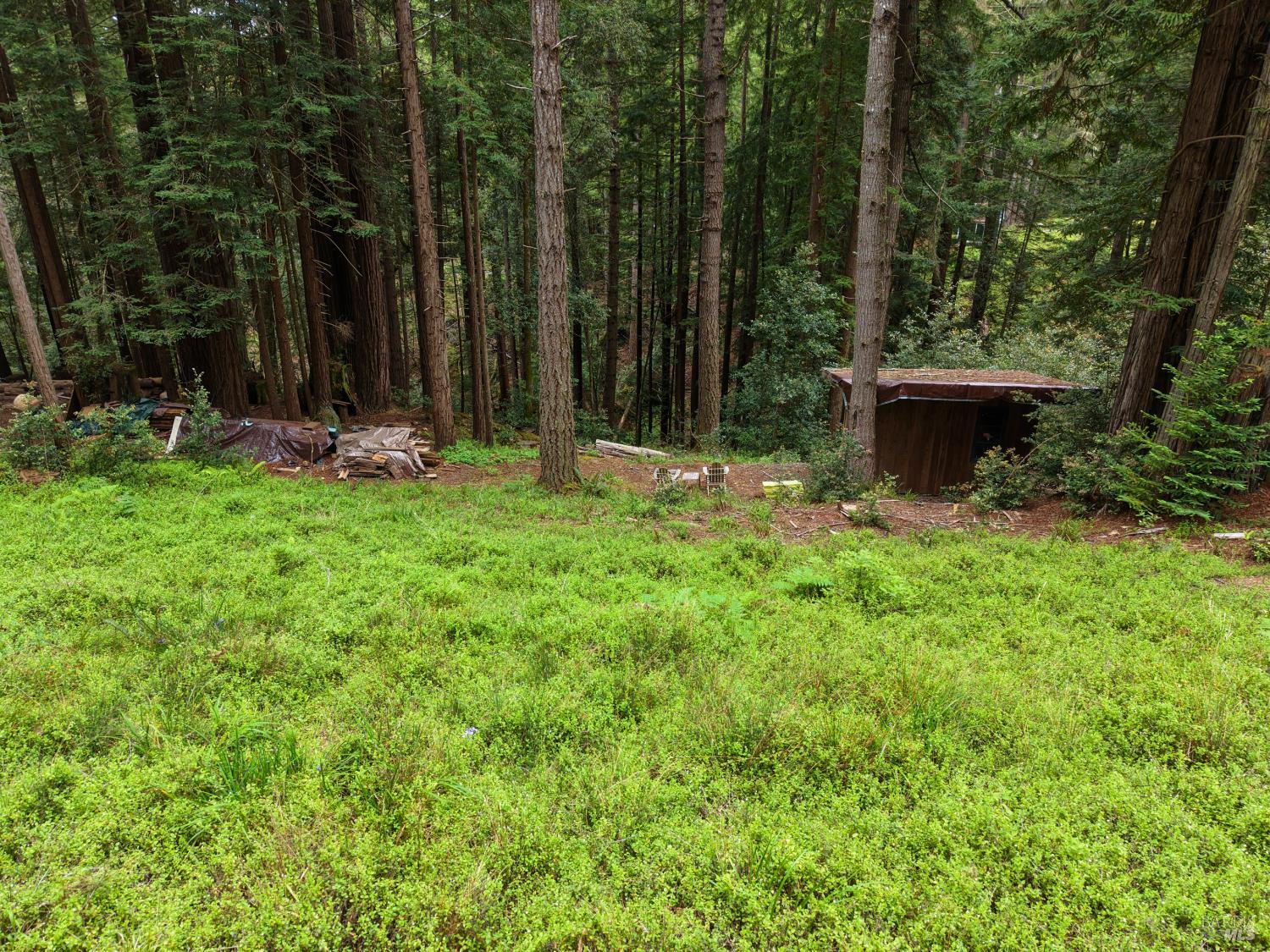 Property photo 30