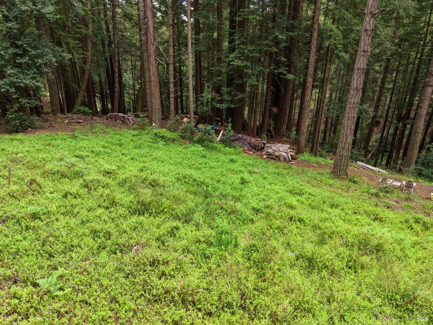Property photo 31