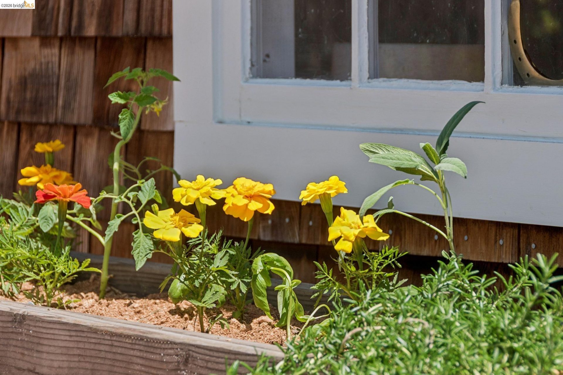 Property photo 43