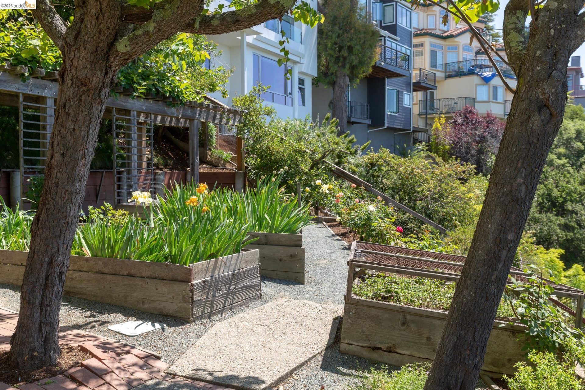Property photo 51