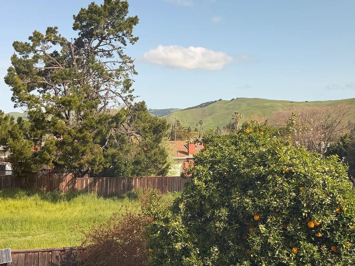 Property photo 37