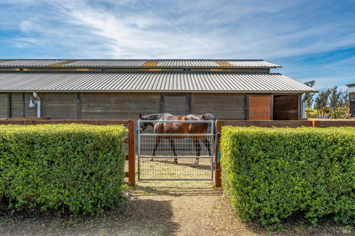 Property photo 31
