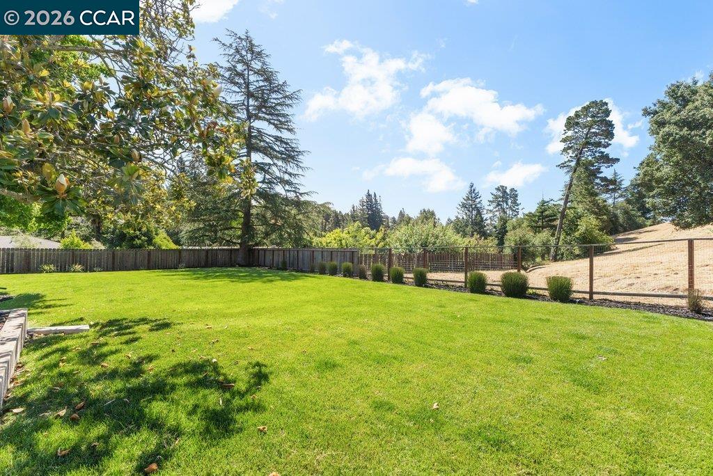 Property photo 49