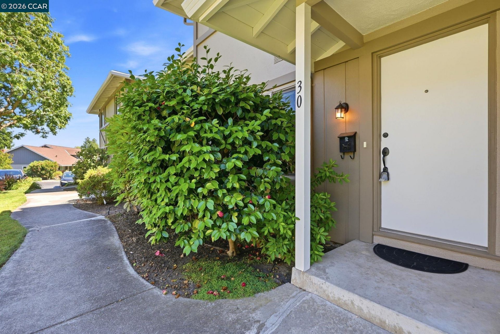 Property photo 41