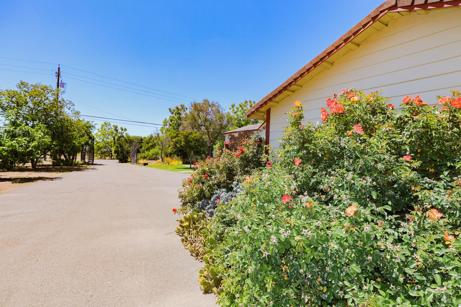 Property photo 42