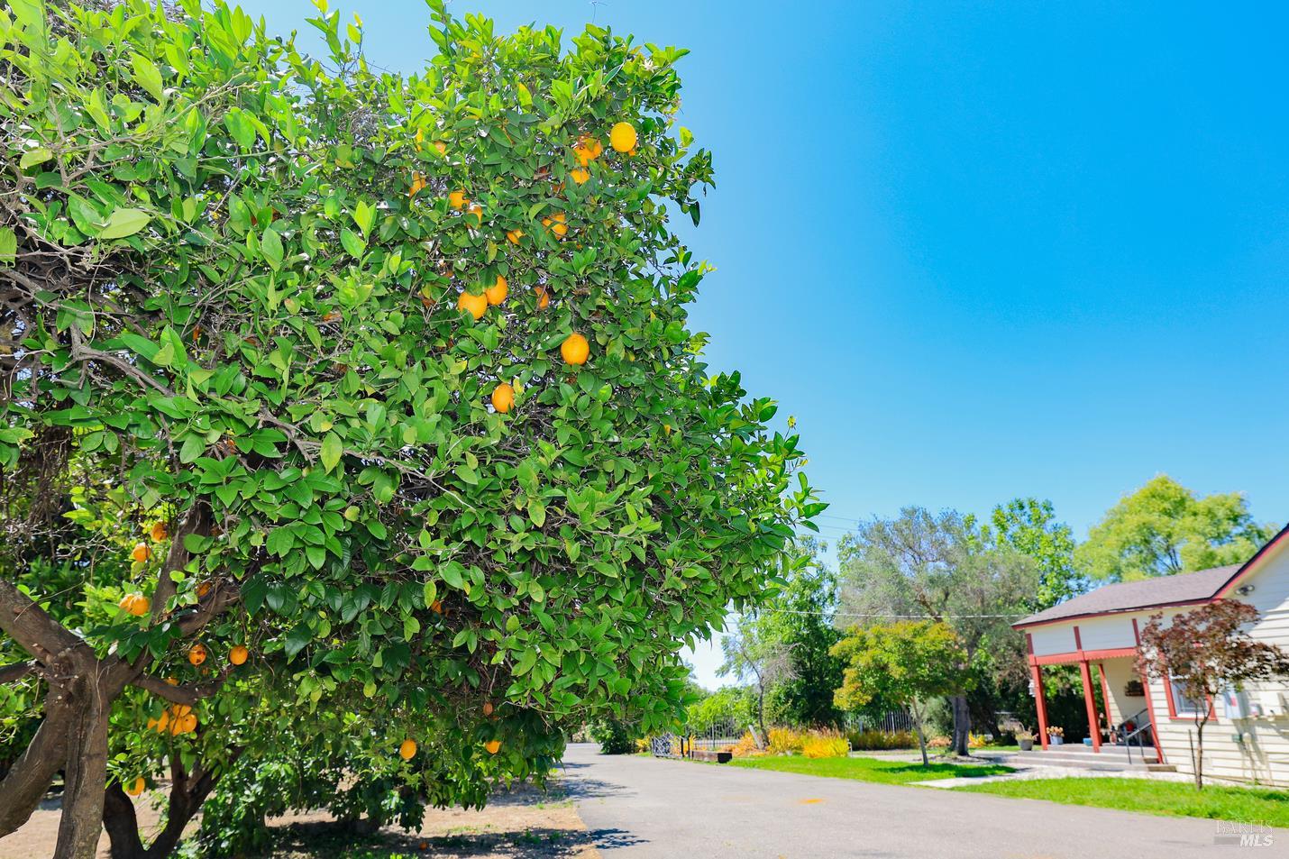 Property photo 43