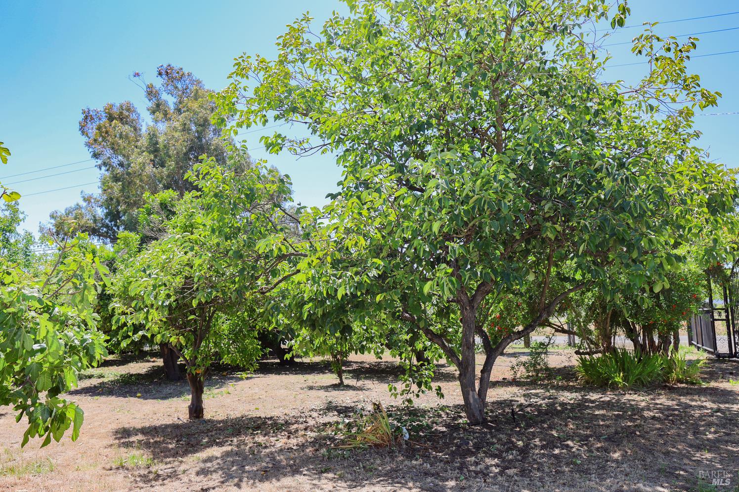 Property photo 44