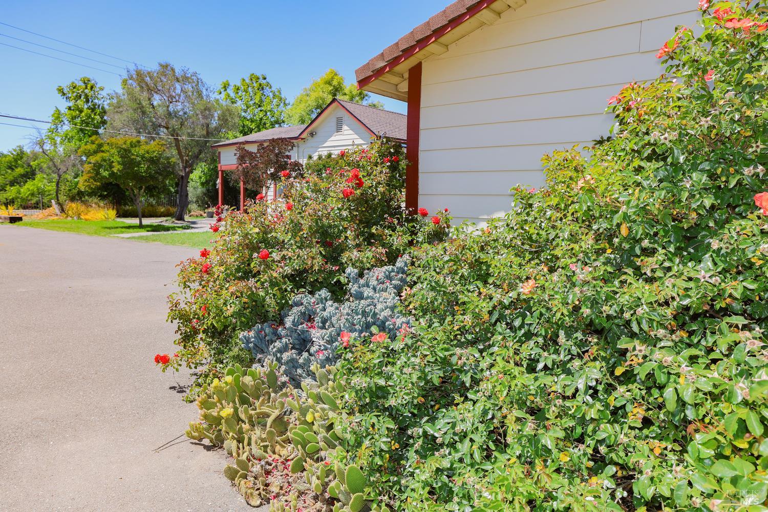 Property photo 49