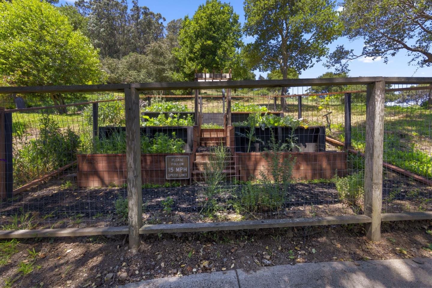 Property photo 49