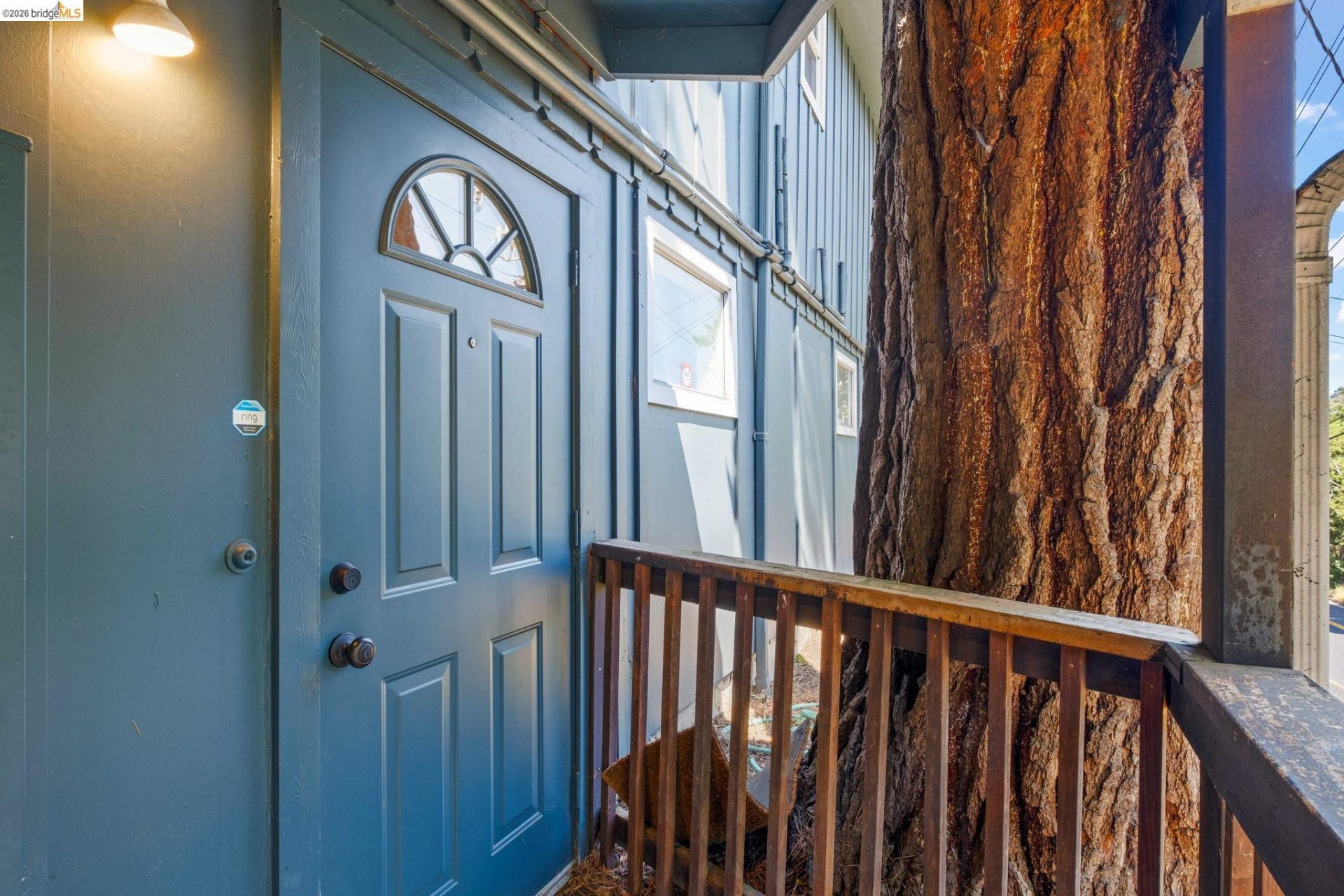 Property photo 49