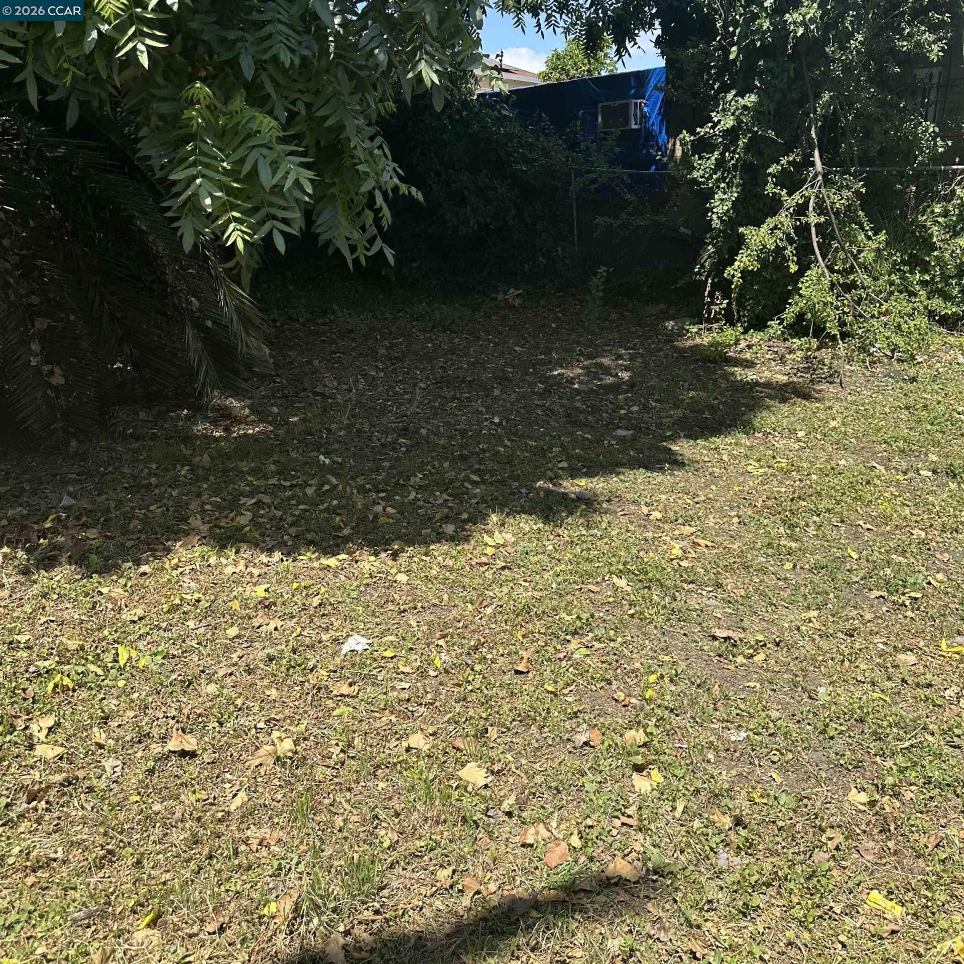 Property photo 25