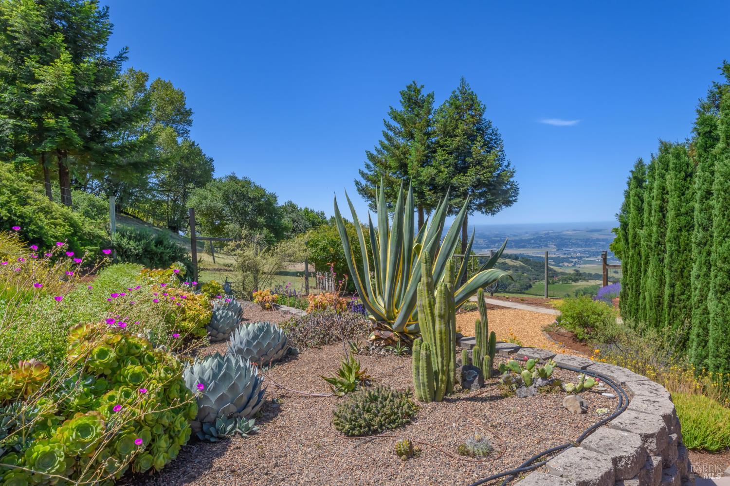 Property photo 49
