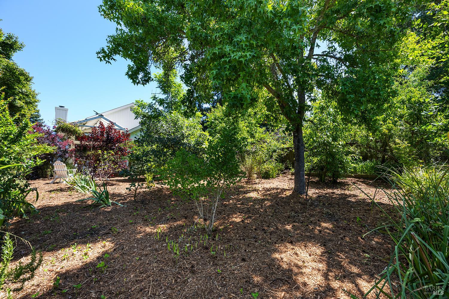 Property photo 43
