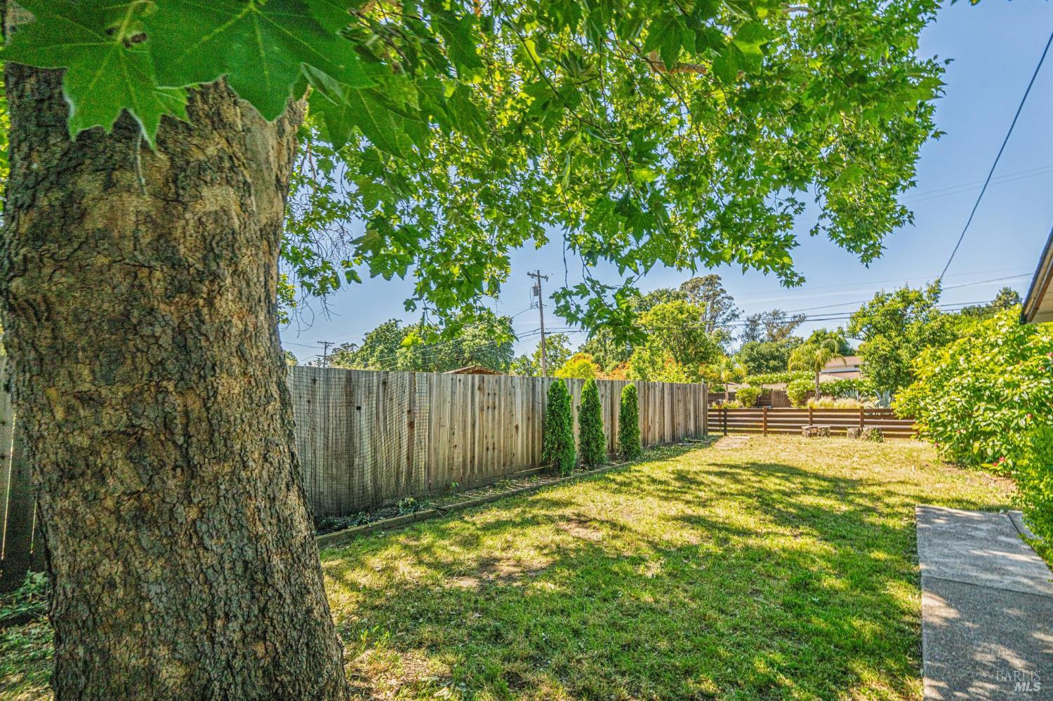 Property photo 42
